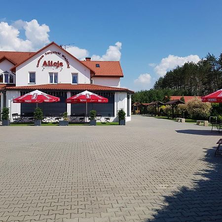 Centrum Turystyki Wiejskiej Alicja Ksiezpol Exterior foto